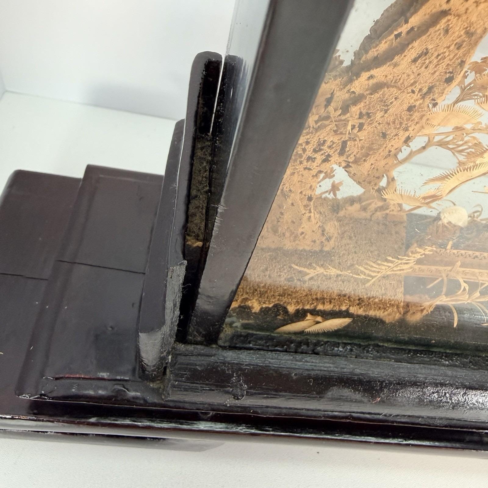 Vintage San You Chinese Cork Diorama Glass Case Black Wood Plinth 19.5×10″x3.5″