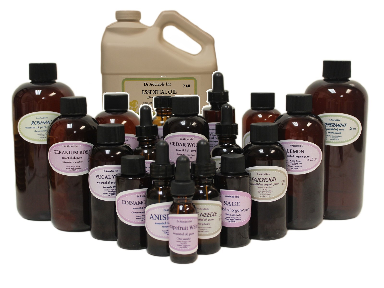 Pine Needle Essential Oil Pure & Organic You Pick Size Free Shipping