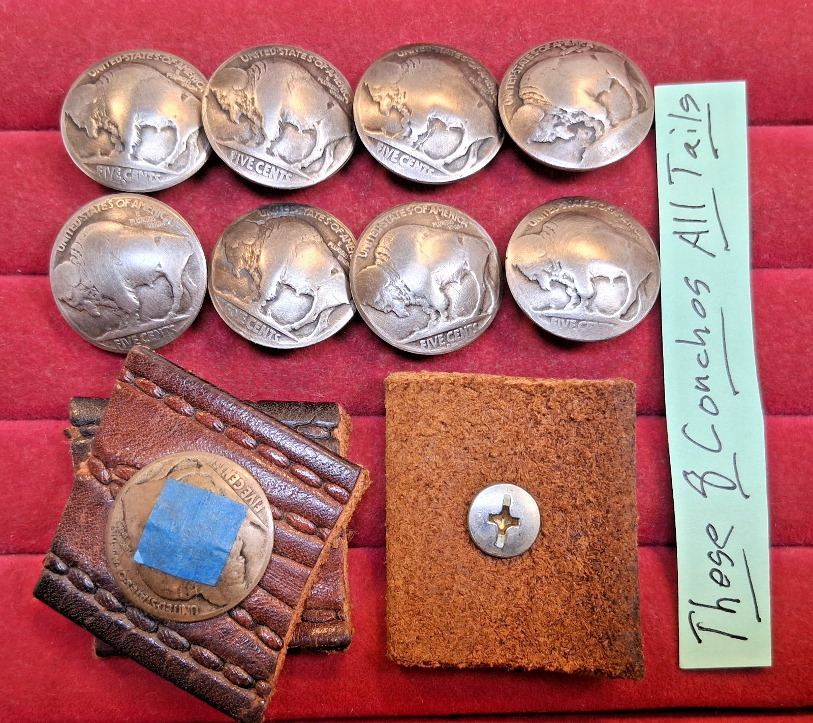 8 Genuine Old Buffalo Indian Head Nickel -Screw Back Concho Buttons Domed Coins