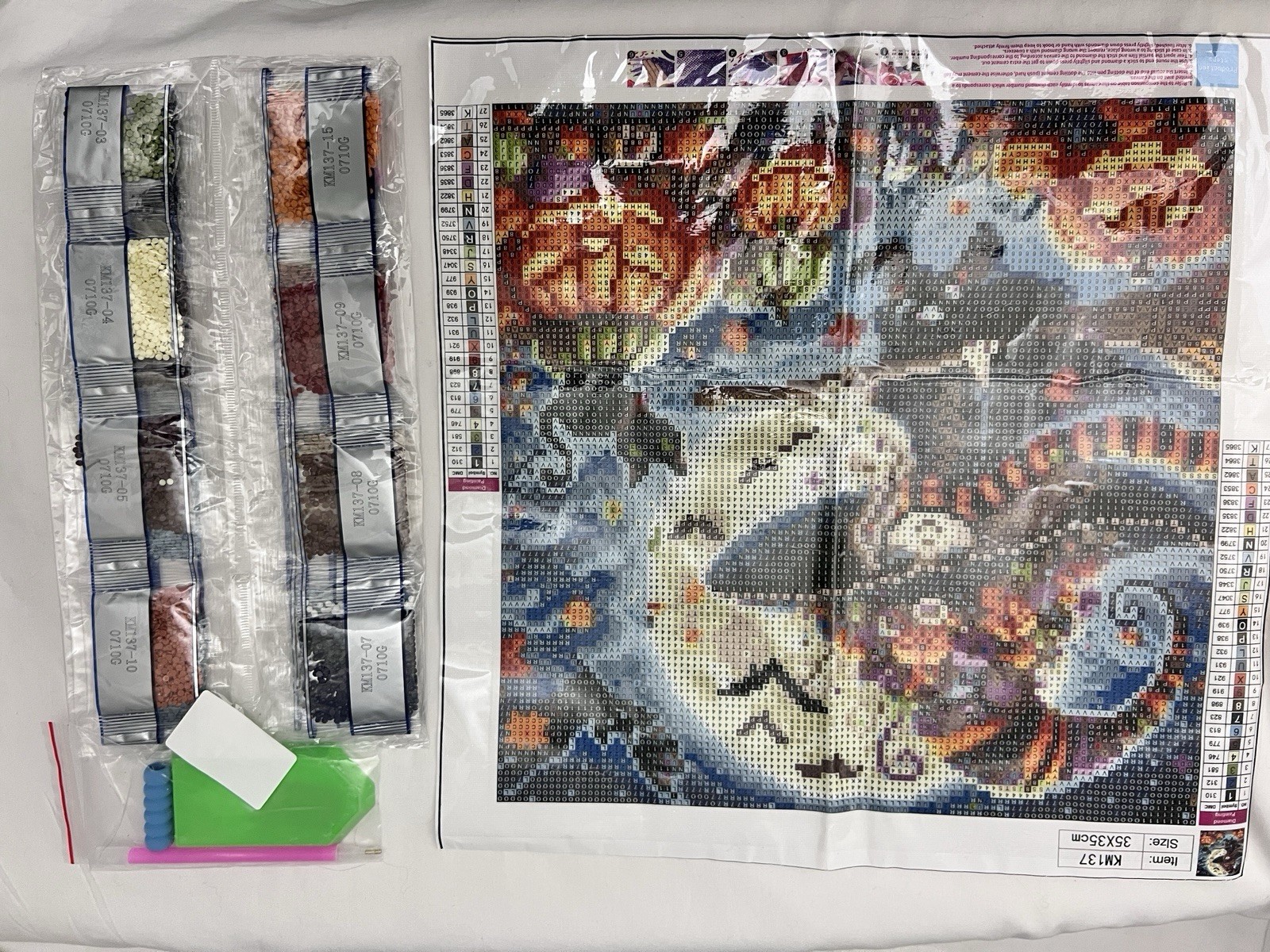 Halloween 5D Diamond Paint Art Beginners Kit 14 x 14 Witch Arts & Crafts Hobbies