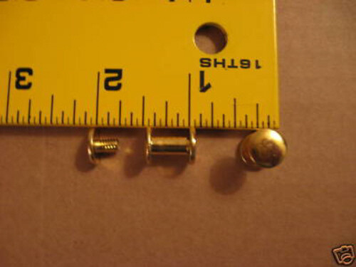 3/8″ Solid Brass Plain Head Chicago Screws (100 pack)