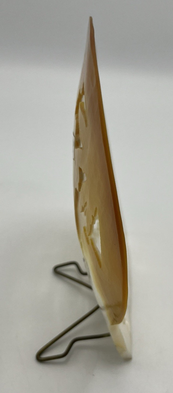 Carved Mother of Pearl Shell Asian Scene with Stand 6″ Tall