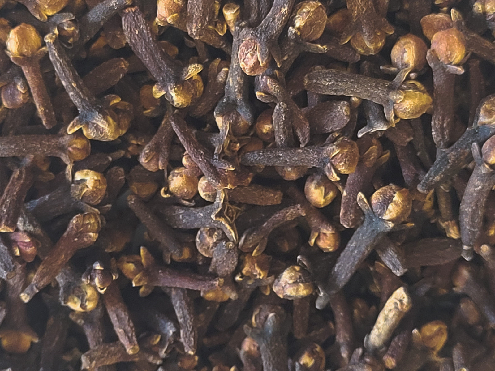 Clove Buds – Organic Natural Dried Herb – Syzygium aromaticum CHOOSE 0.5 – 4 oz
