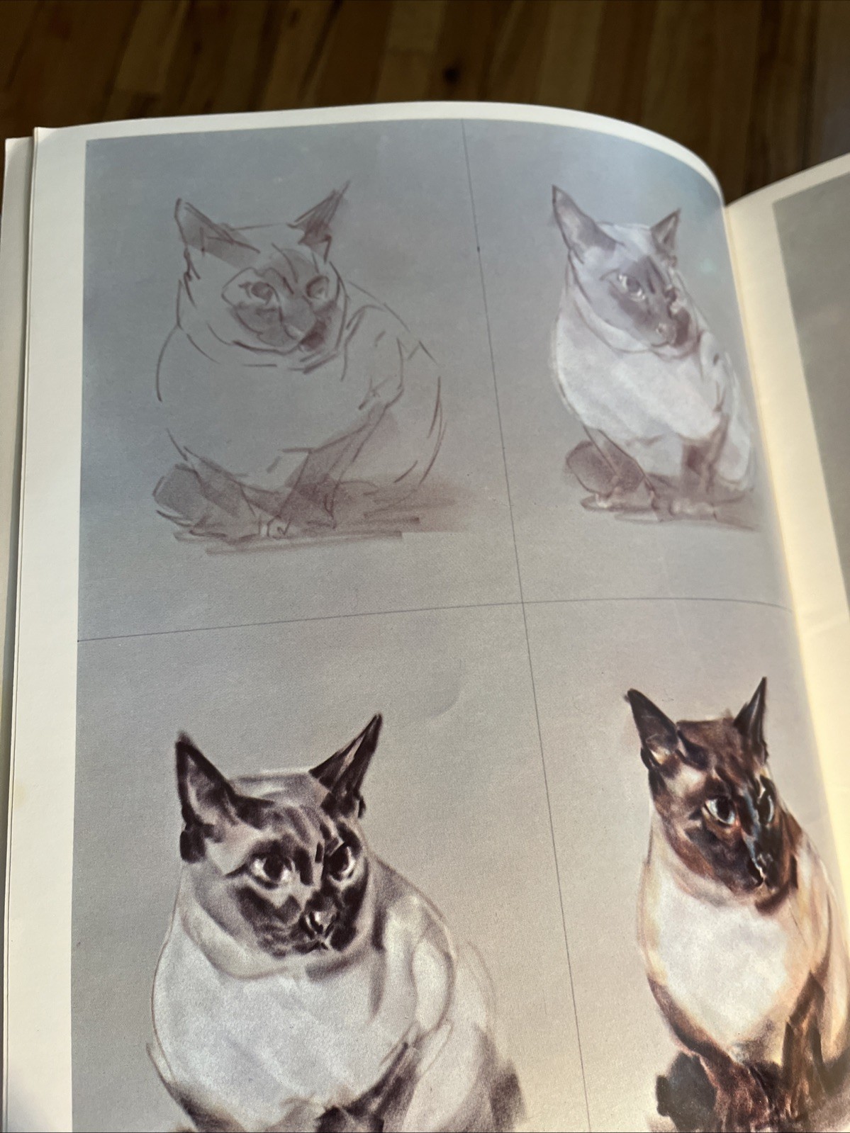 How to Draw Cats and Kittens #184 (1960) Leslie B DeMille-A Walter T Foster Book