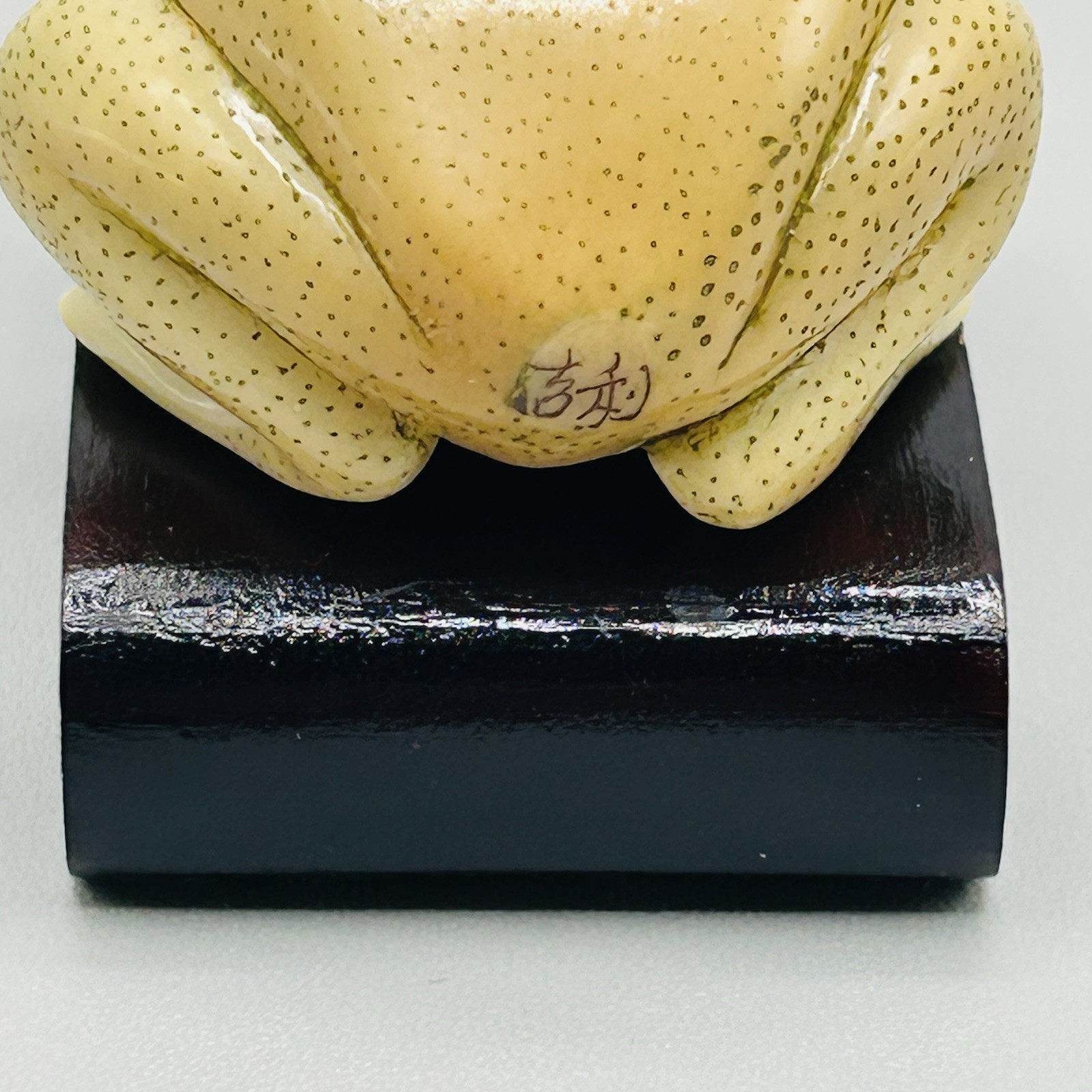 Hand Carved and Painted TAGUA NUT FROG from Hong Kong Rare Vintage Fabulous