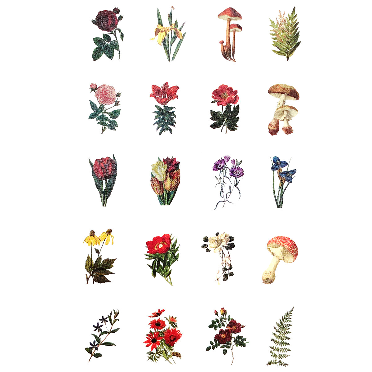 Wrapables Decorative Scrapbooking Washi Stickers, DIY Stationery Diary (60pcs)