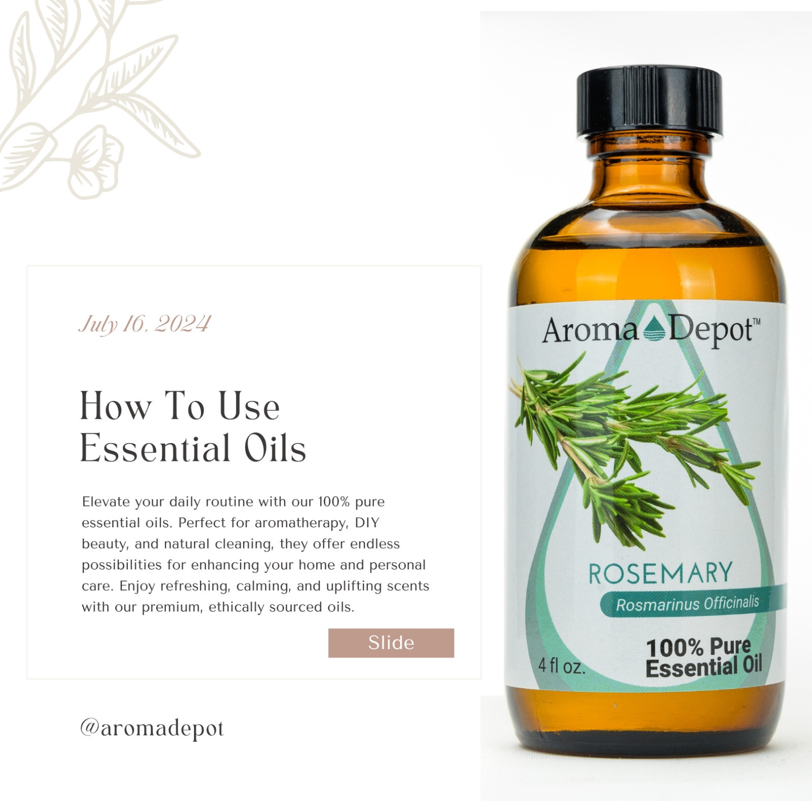 Rosemary Essential Oil Therapeutic Grade 100% Pure Natural Aceite Esencial
