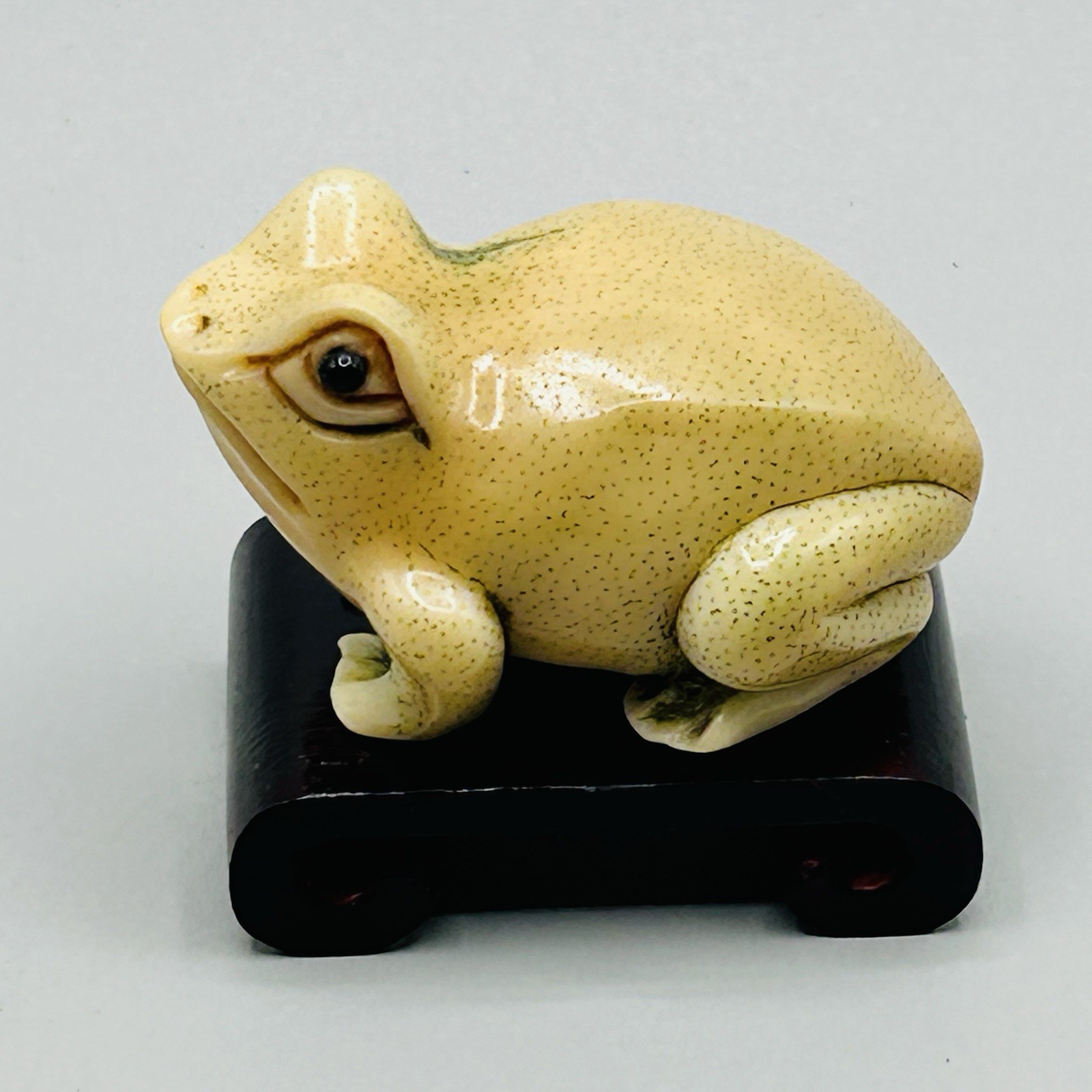 Hand Carved and Painted TAGUA NUT FROG from Hong Kong Rare Vintage Fabulous
