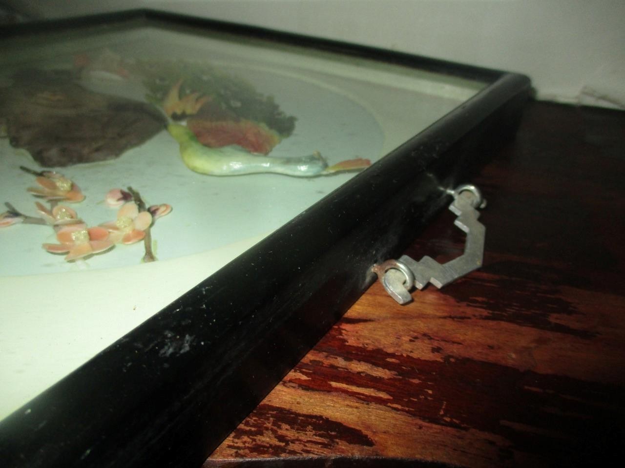 Peacock/Oriental/Picture/ Shadow Box/ Mother of Pearl/ Jade/ Shells (Signed)