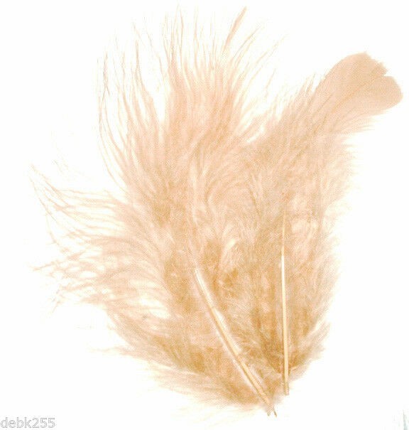 Quality Marabou Feathers BEIGE Fluffy 3-8″ L 7 grams Approx 35 ct