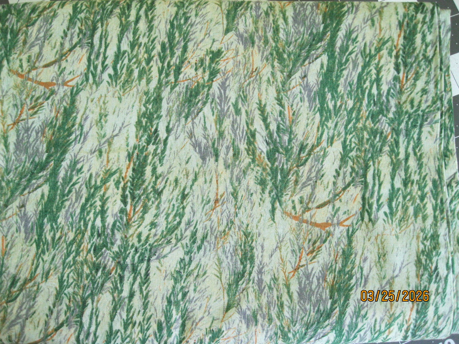 Wild Wings from Springs Creative branches on light green background