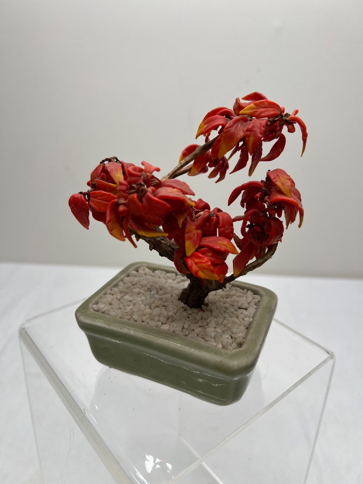 Antique Chinese Jade Tree Oriental Bonsai Jade Plant
