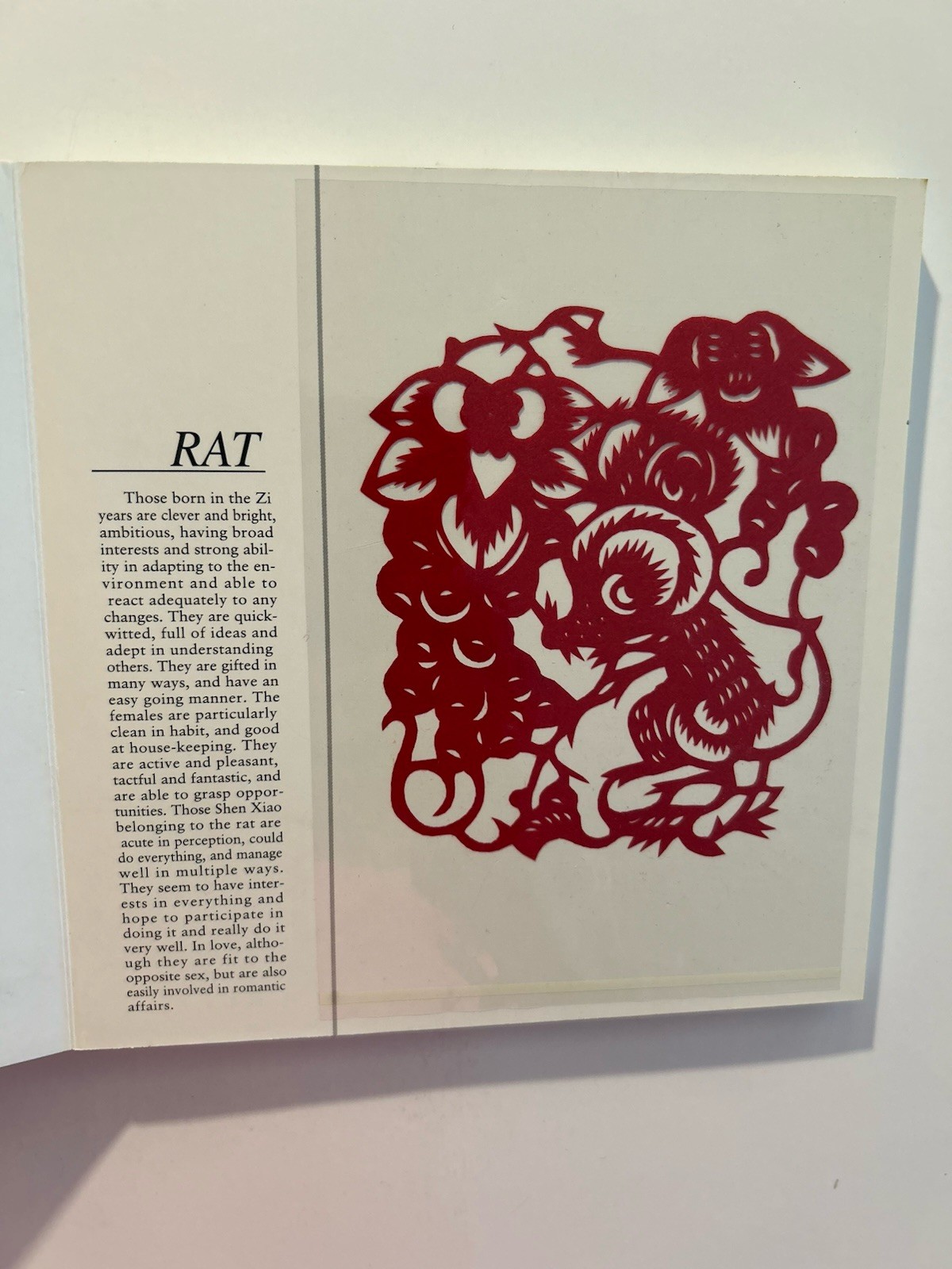 Paper Cut In China Book 12 Birth Animals Cut Outs Window Art Decor Hardcover