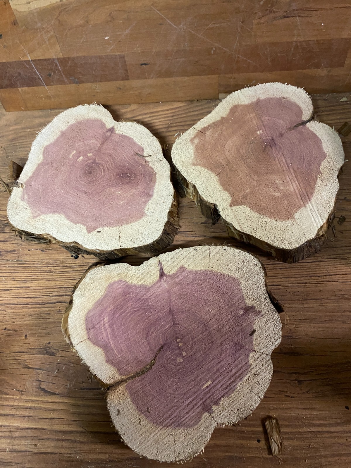 3 Rustic Live Edge Red Cedar Rounds, Cookies, Wood Working, Craft Wood, 8″ – 12″