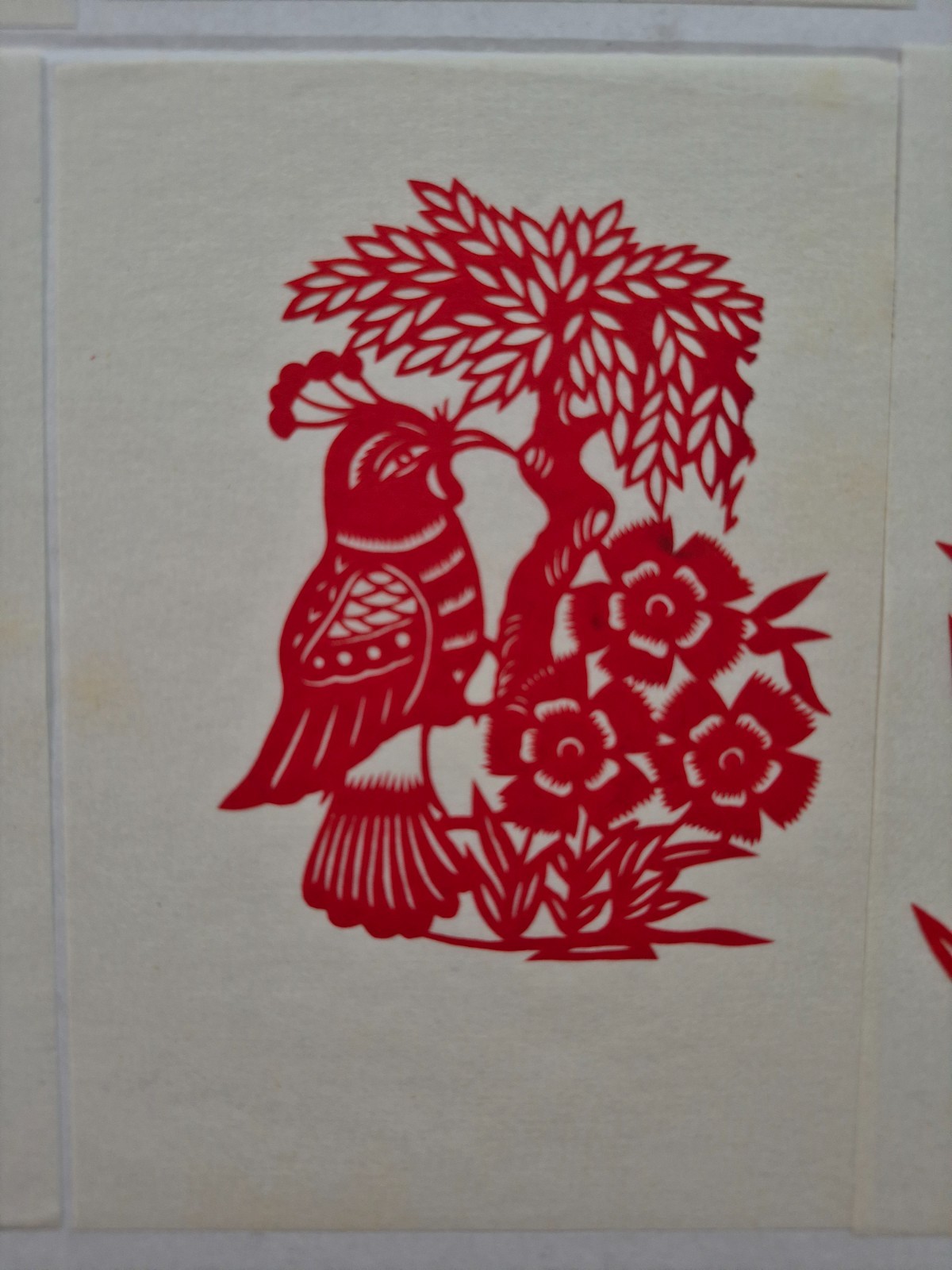 Unused Set of 10 Chinese Folk Art Paper cuts Peacock & various birds Designed