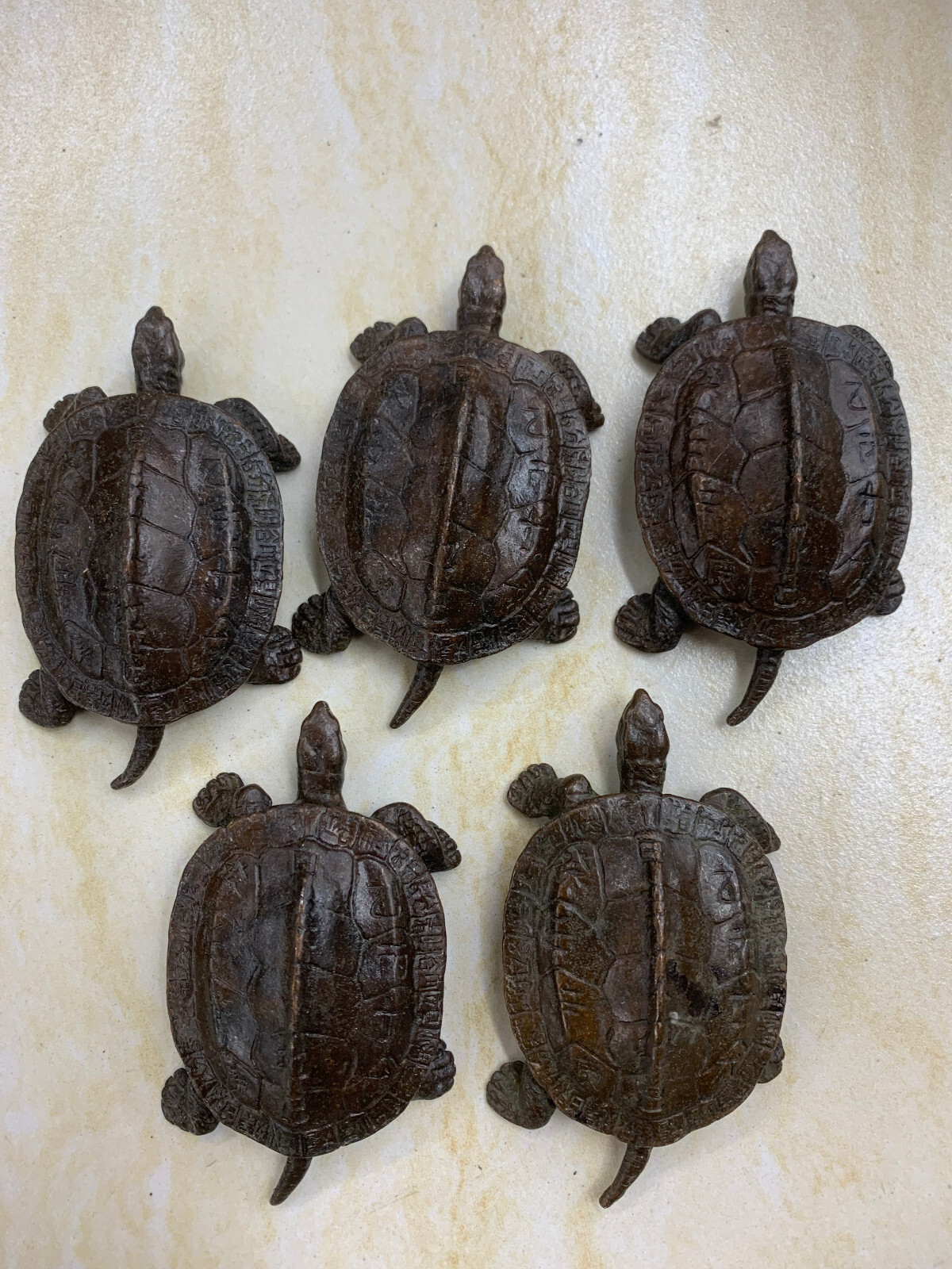5 Pcs Wonderful Chinese Bronze Hand Made *Turtle* Statues