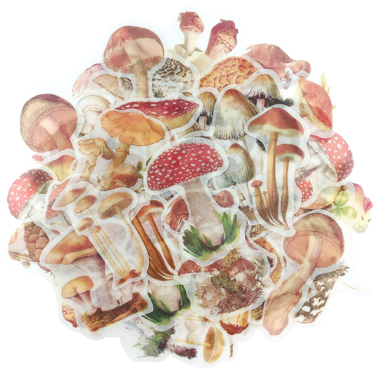 Wrapables Decorative Scrapbooking Washi Stickers, DIY Stationery Diary (60pcs)