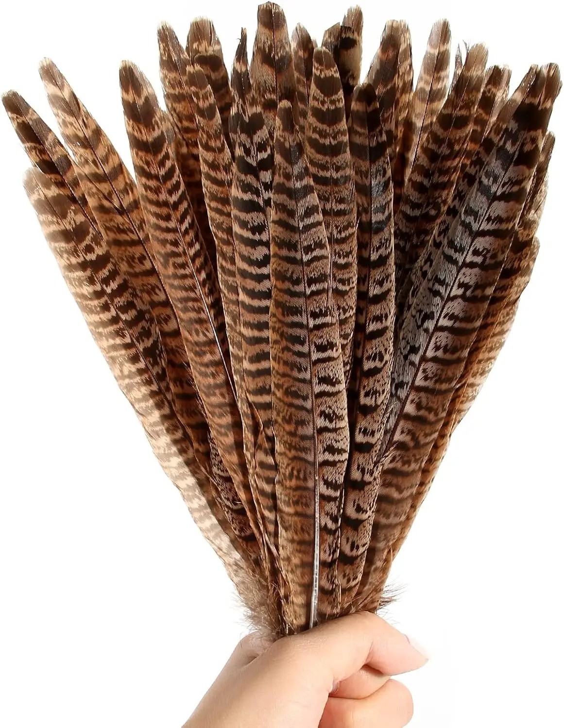 10PCS Natural Pheasant Tail Feathers 25-30cm DIY Crafts Wedding Decor