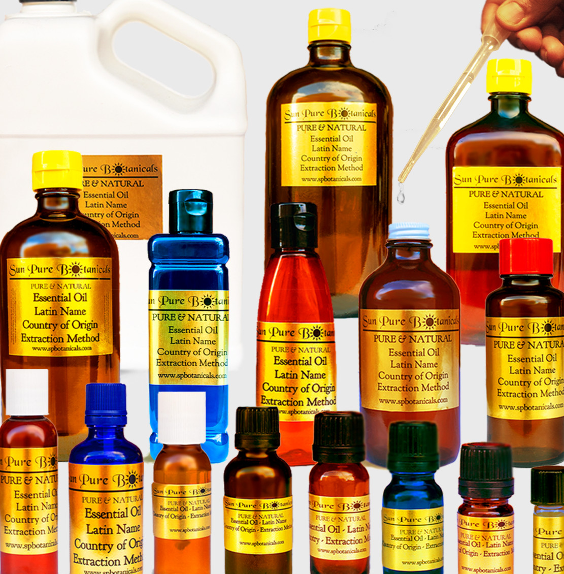 Hazelnut Oil – Pure & Edible – Expeller Pressed – Small Sizes to Wholesale Bulk
