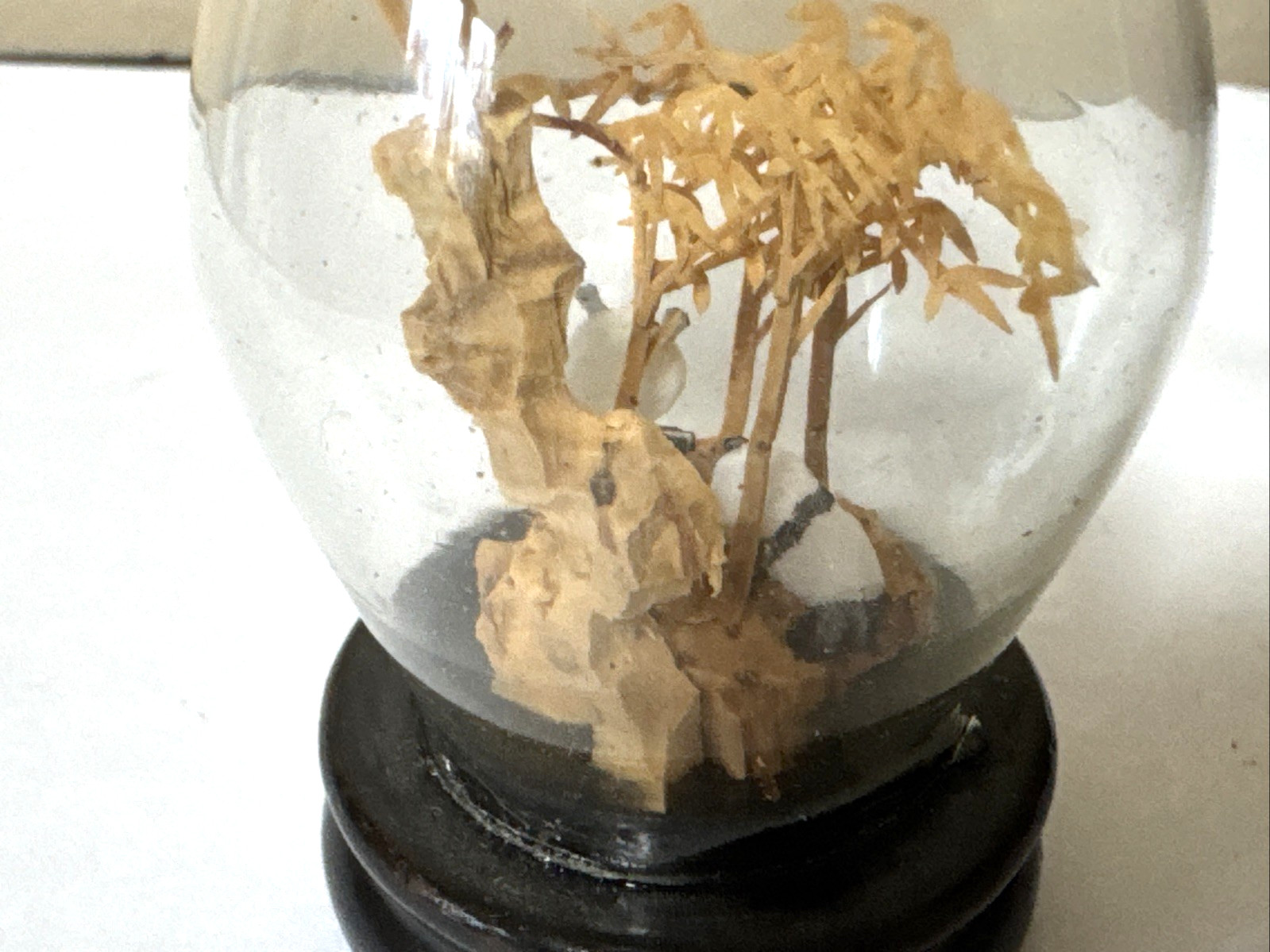 SAN YOU Cork Diorama Pair Of Pandas Under Egg Shape Glass Dome on wood base 3”H