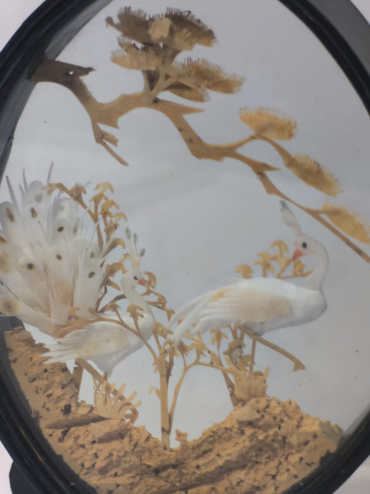 Vintage Asian Cork Carving Diorama Shadow Box Black Lacquer Peacocks Birds 5.5″