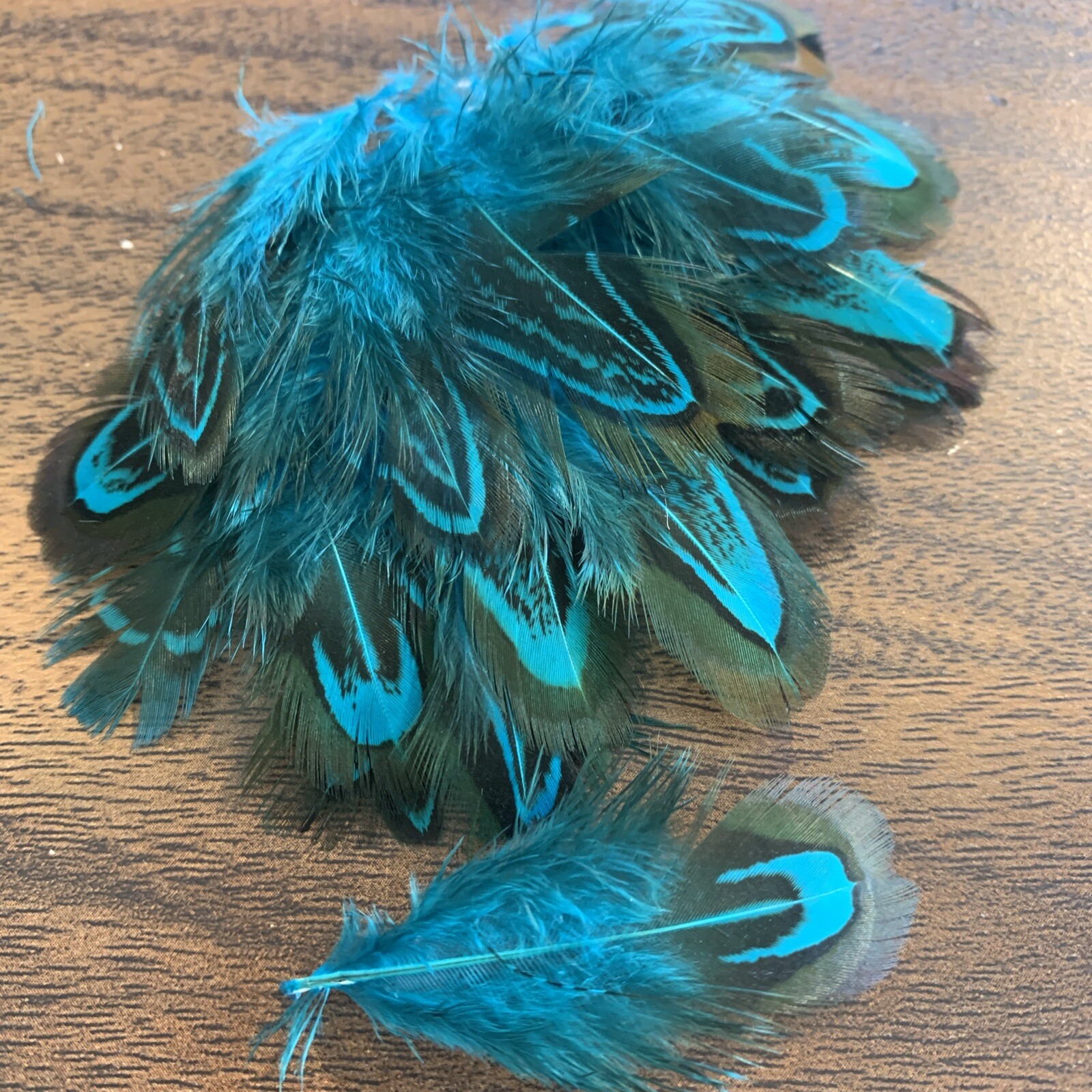 20pcs Natural Almond Aqua Blue Pheasant Feathers DIY Craft Millinery Jewellery