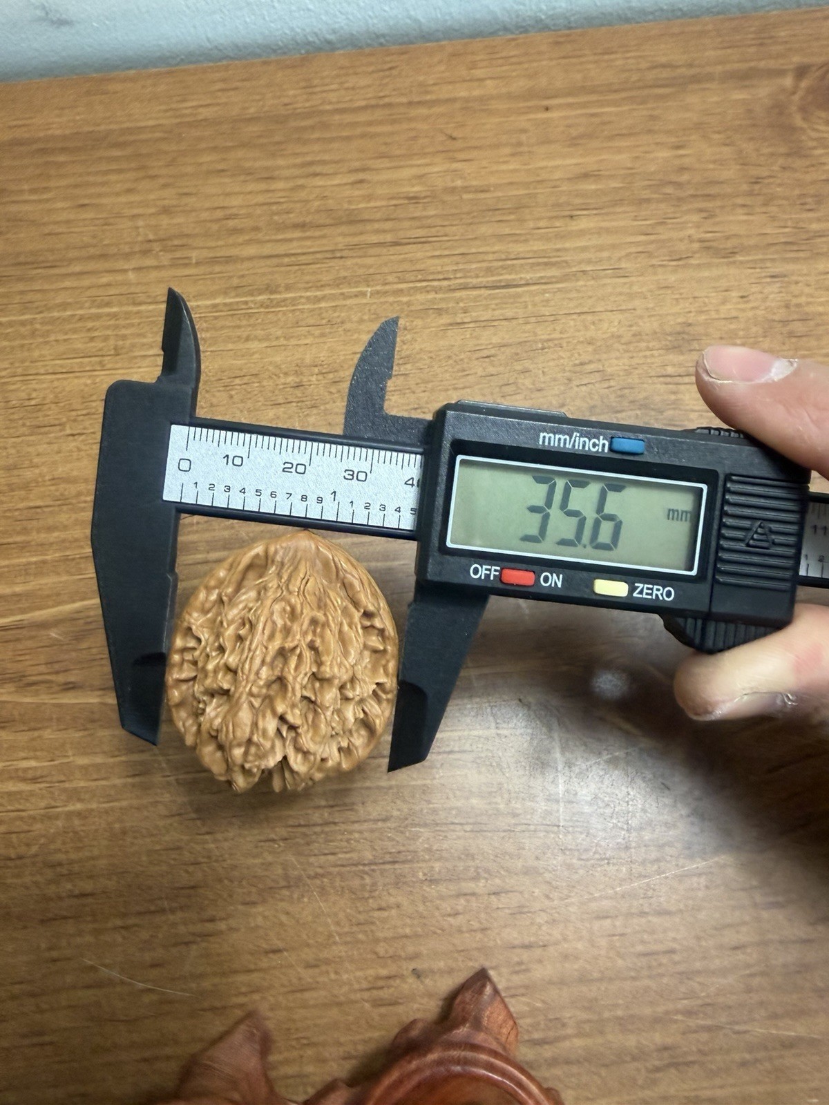 Pair of Match Chinese Health Walnut 精品老树高装麦穗虎头文玩核桃 40x36x34 已打底 配底座手套和刷子