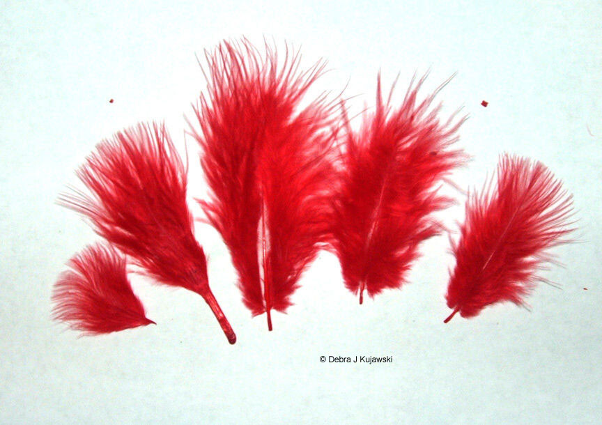 Marabou Feathers Small 1-3″ fluffs RED 7 grams approx. 105 per bag