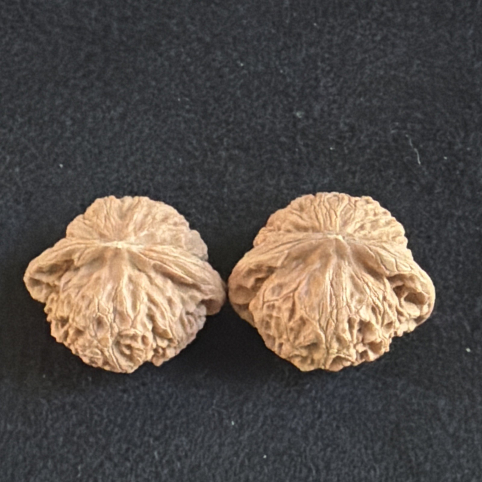 文玩核桃 Ornamental Walnut · Chinese Pocket Curio 2026年新开，精配对无修无打底，#189