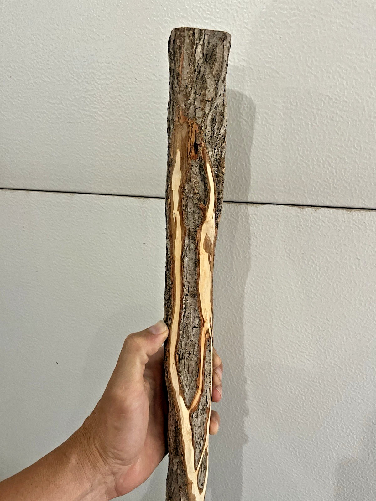Diamond Willow Cane (You Carve 💎s): 46″ Walking Stick, Twisted wood, Colorful