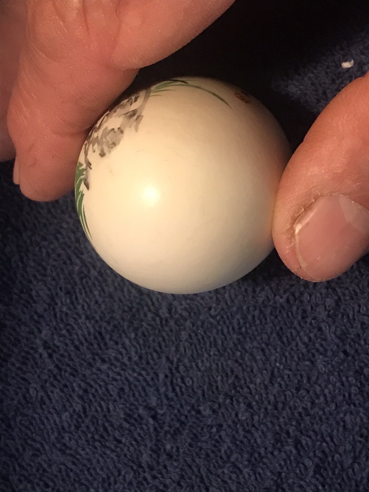 Japanese Oriental Asian Hand Painted Egg Shell Home Decor Signed Vintage