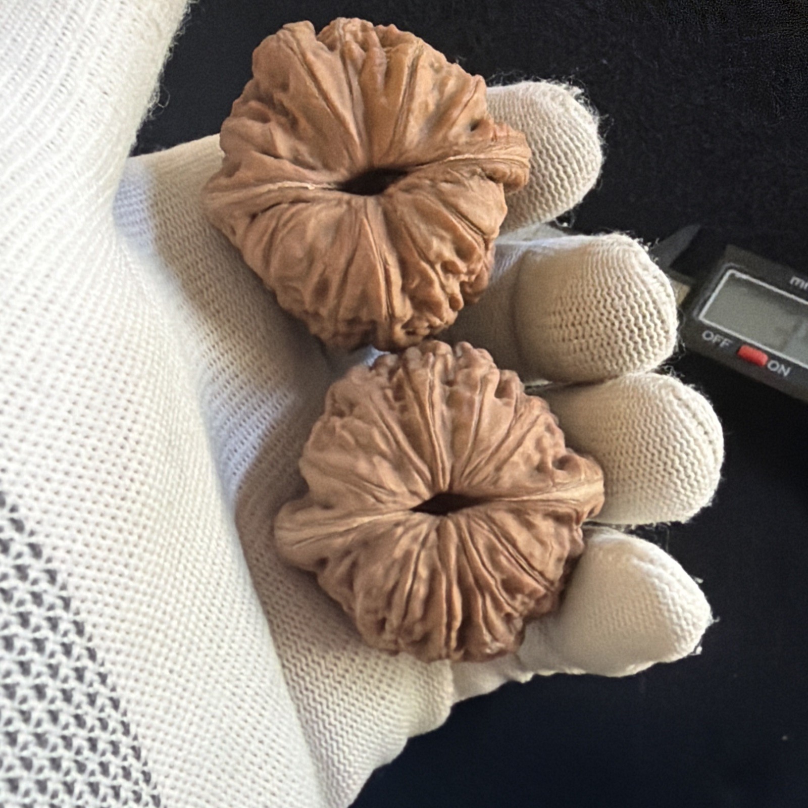 文玩核桃 Ornamental Walnut · Chinese Pocket Curio 2026年新开，精配对无修无打底，#192