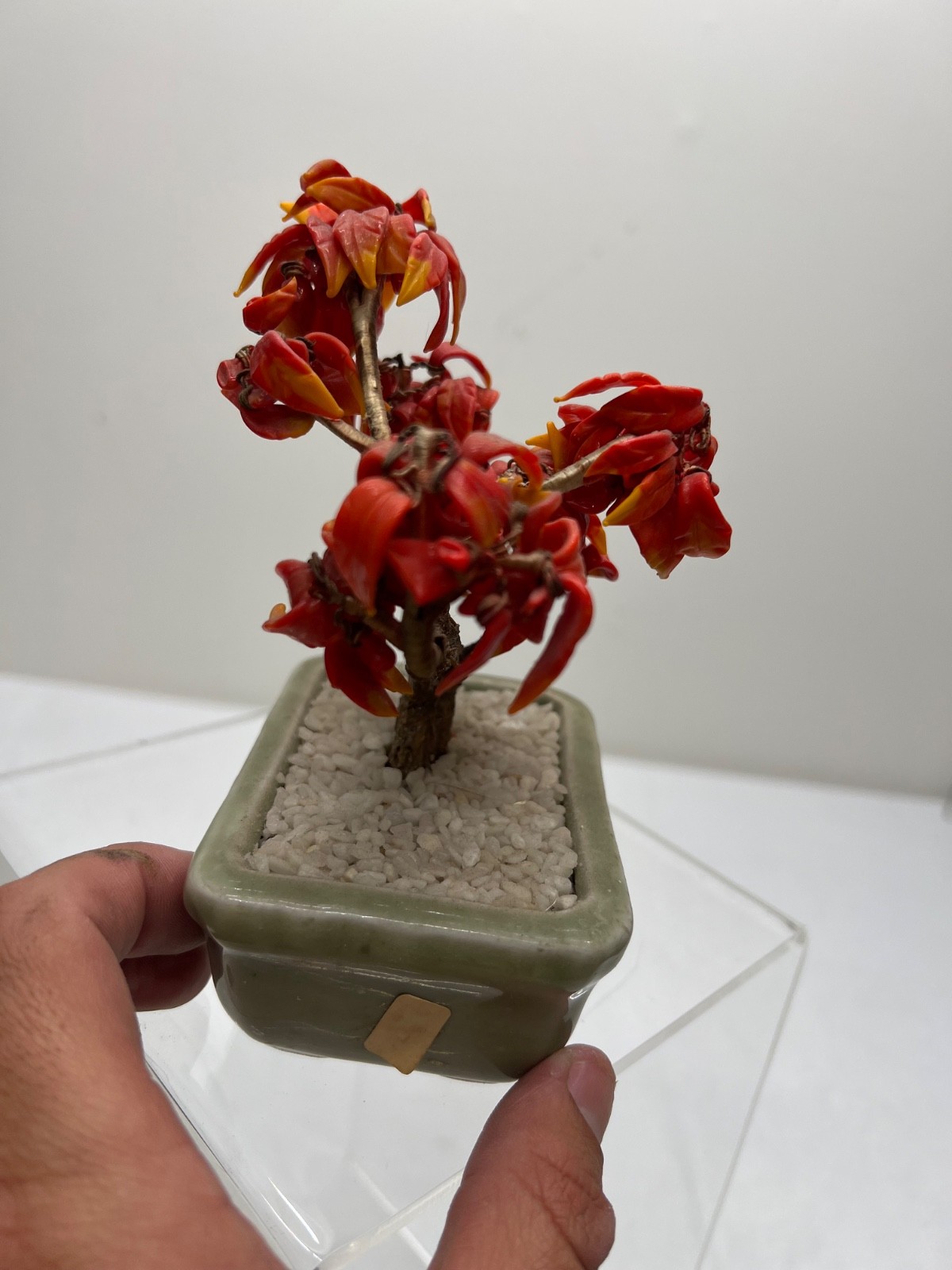 Antique Chinese Jade Tree Oriental Bonsai Jade Plant