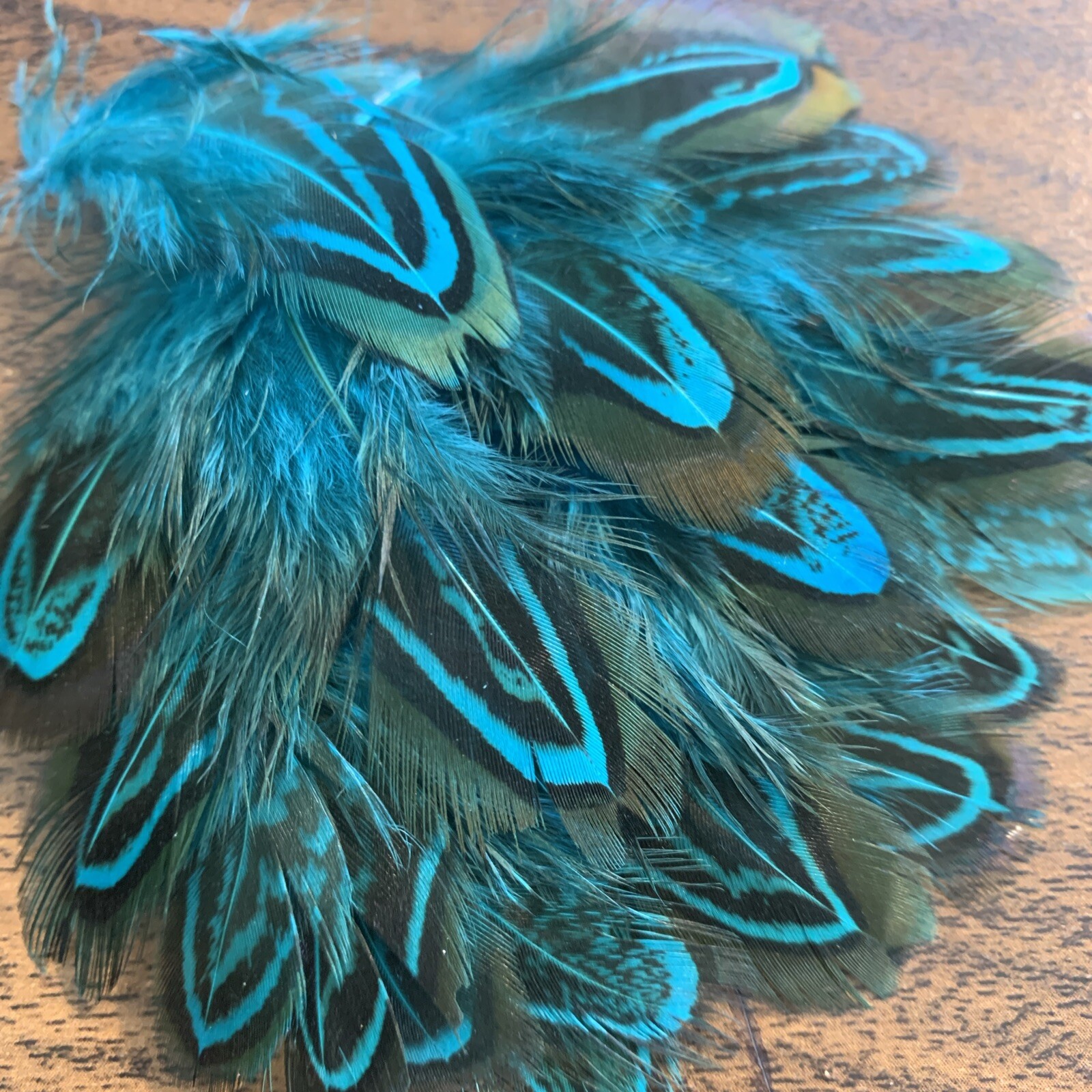 20pcs Natural Almond Aqua Blue Pheasant Feathers DIY Craft Millinery Jewellery