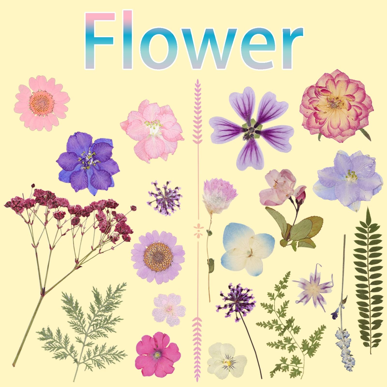 50Pcs Dried Pressed Flowers Resin Mould Real Natural Purple