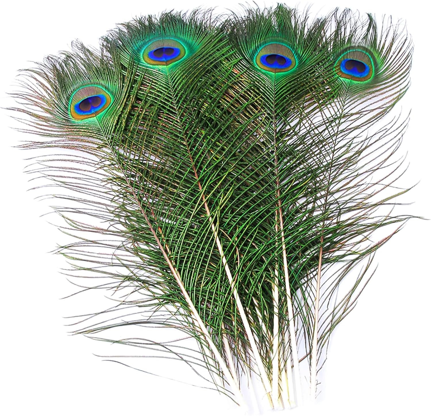 10 Pcs Peacock Feathers in Bulk 16-18Inch Bulk for DIY Craft Vase