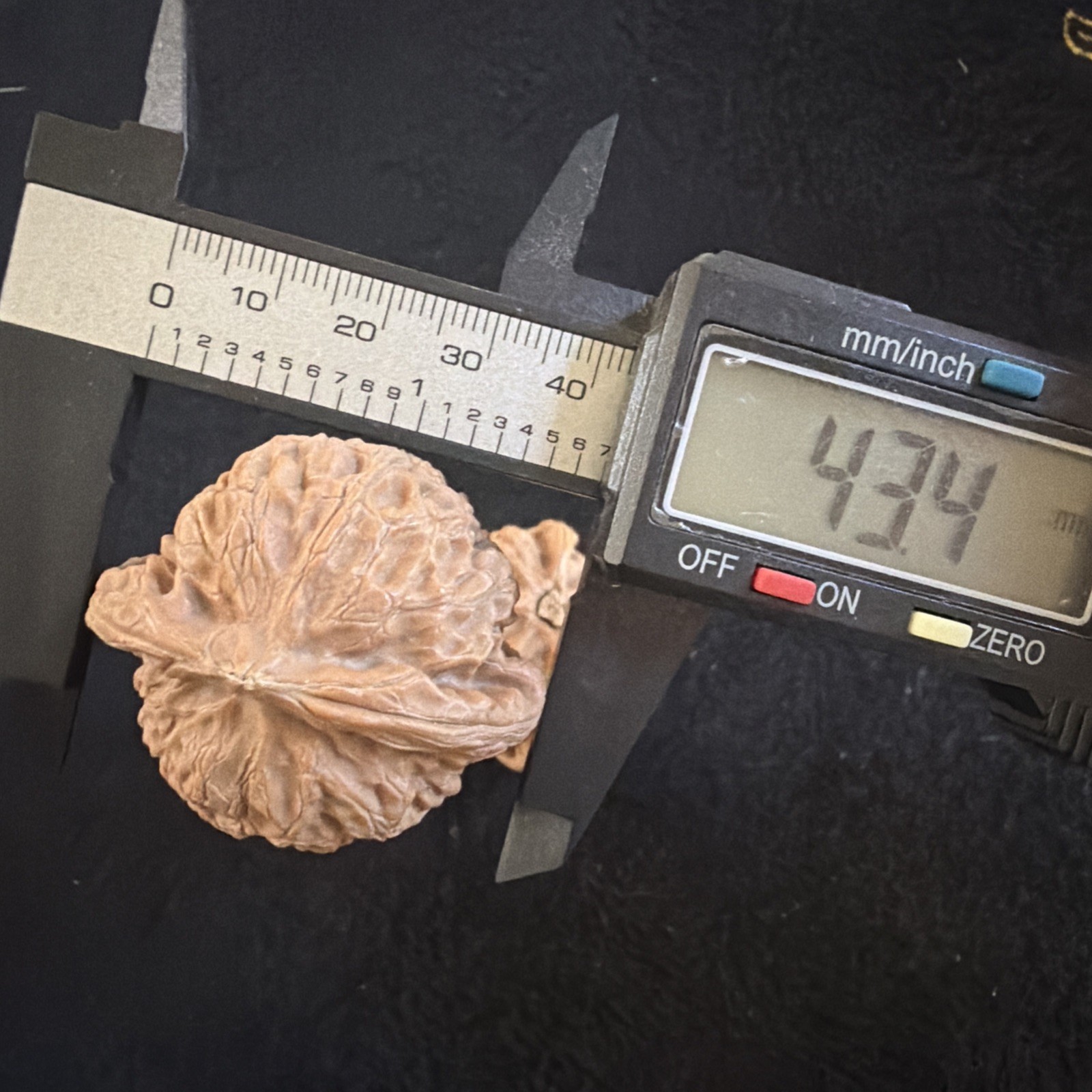 文玩核桃 Ornamental Walnut · Chinese Pocket Curio 2026年新开，精配对无修无打底，#189