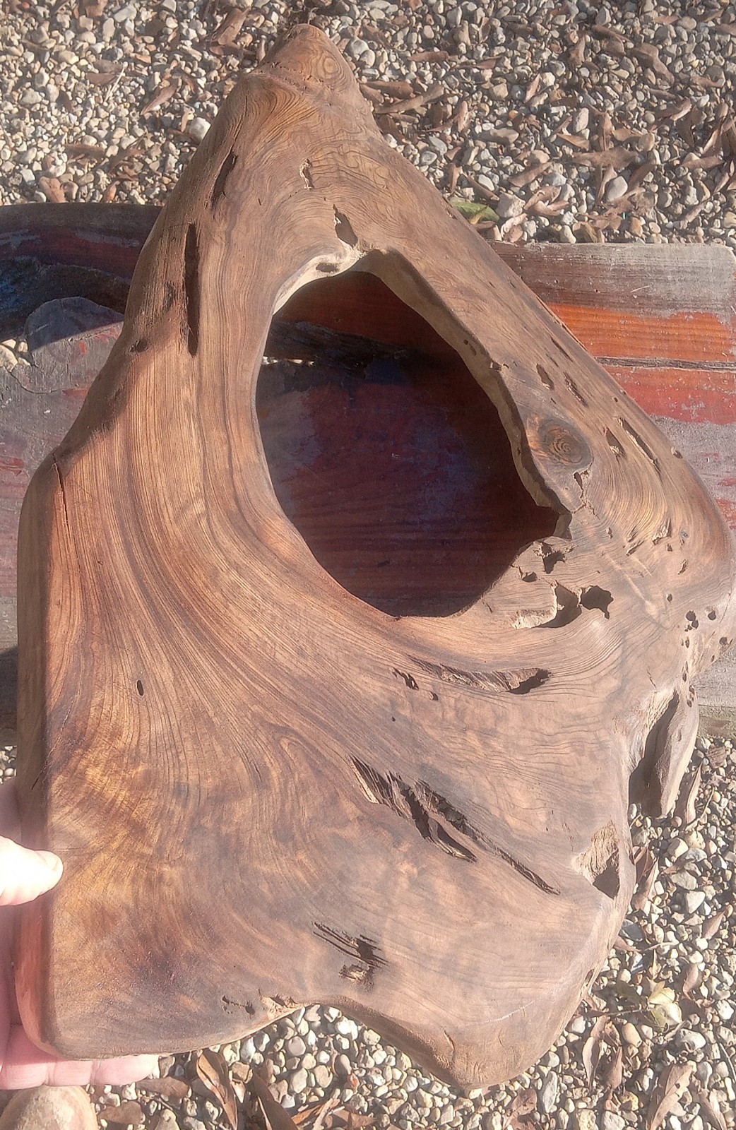 Almost Gone! 1570 Years Old! Carbon Dated BURL & Resin Sinker Cypress Craft Wood