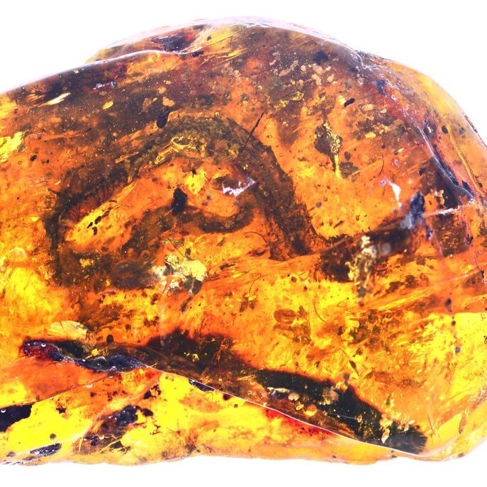 Amber Sensual, Candle Fragrance 4oz Oil ~ scent ~ crafts ~ soap