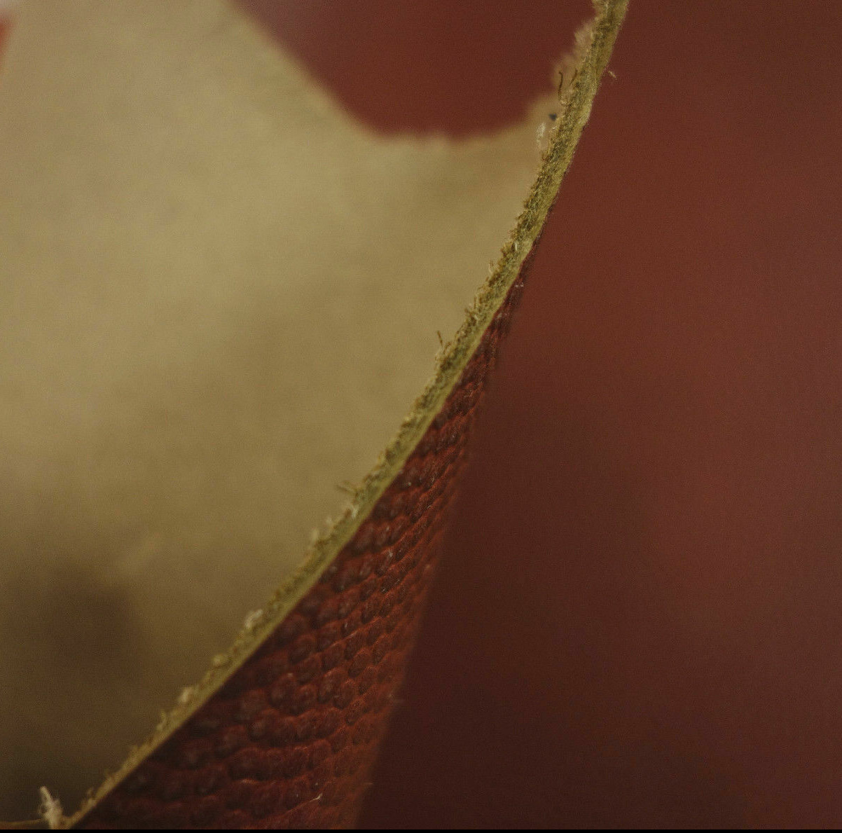 HORWEEN FOOTBALL PRINT 4.5 oz. LEATHER STRAP 1ST. QLTY
