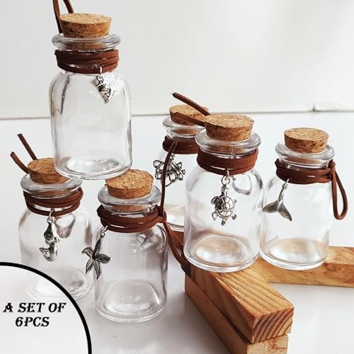 6PCS 30ml Clear Wide Mouth Glass Bottles with Cork Stoppers and 1OZ-6PCS