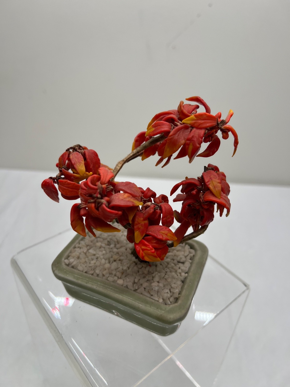 Antique Chinese Jade Tree Oriental Bonsai Jade Plant