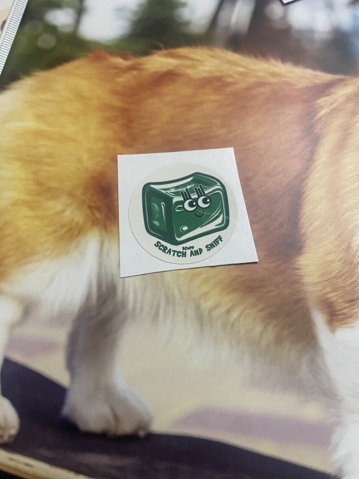 WW Small ScratchNSniff Sticker Mod Wintergreen Scent Nostalgic Design