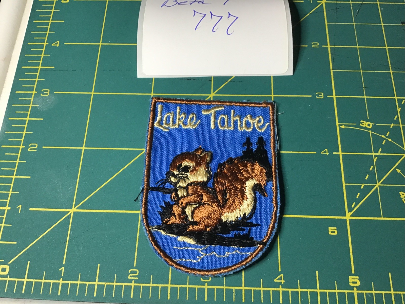 Vintage Lake Tahoe Patch • California Nevada Nature Skiing Sew On Souvenir