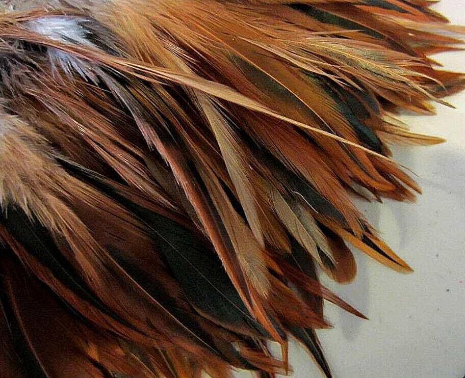Chinese Rooster Saddle Hackle Feathers – Strung Furnace – 5-7″ – 50 Pcs.