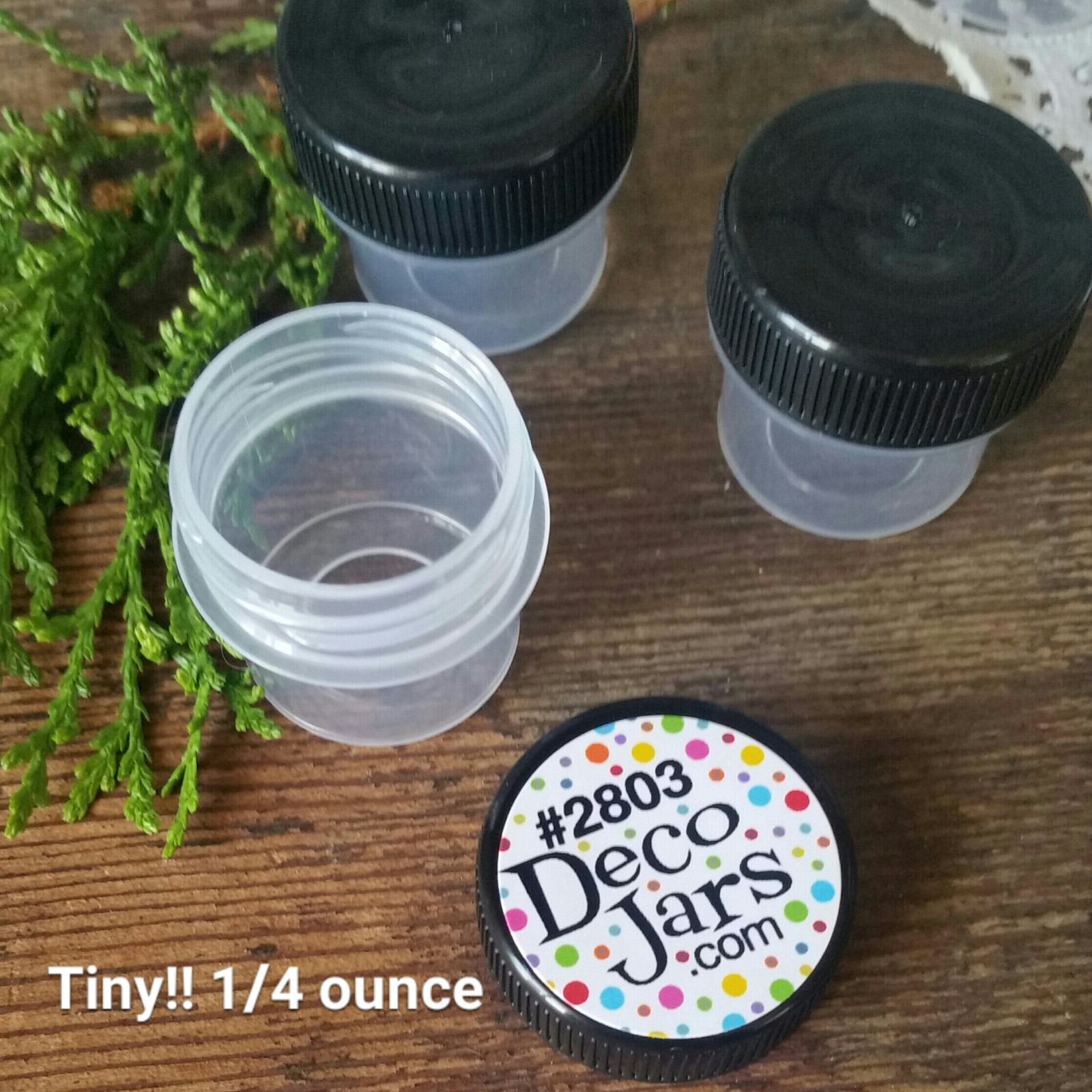 50 Vial Black Cap Pot JAR Bottle 1/4oz Cache Glitter Powder DecoJars #2803 USA