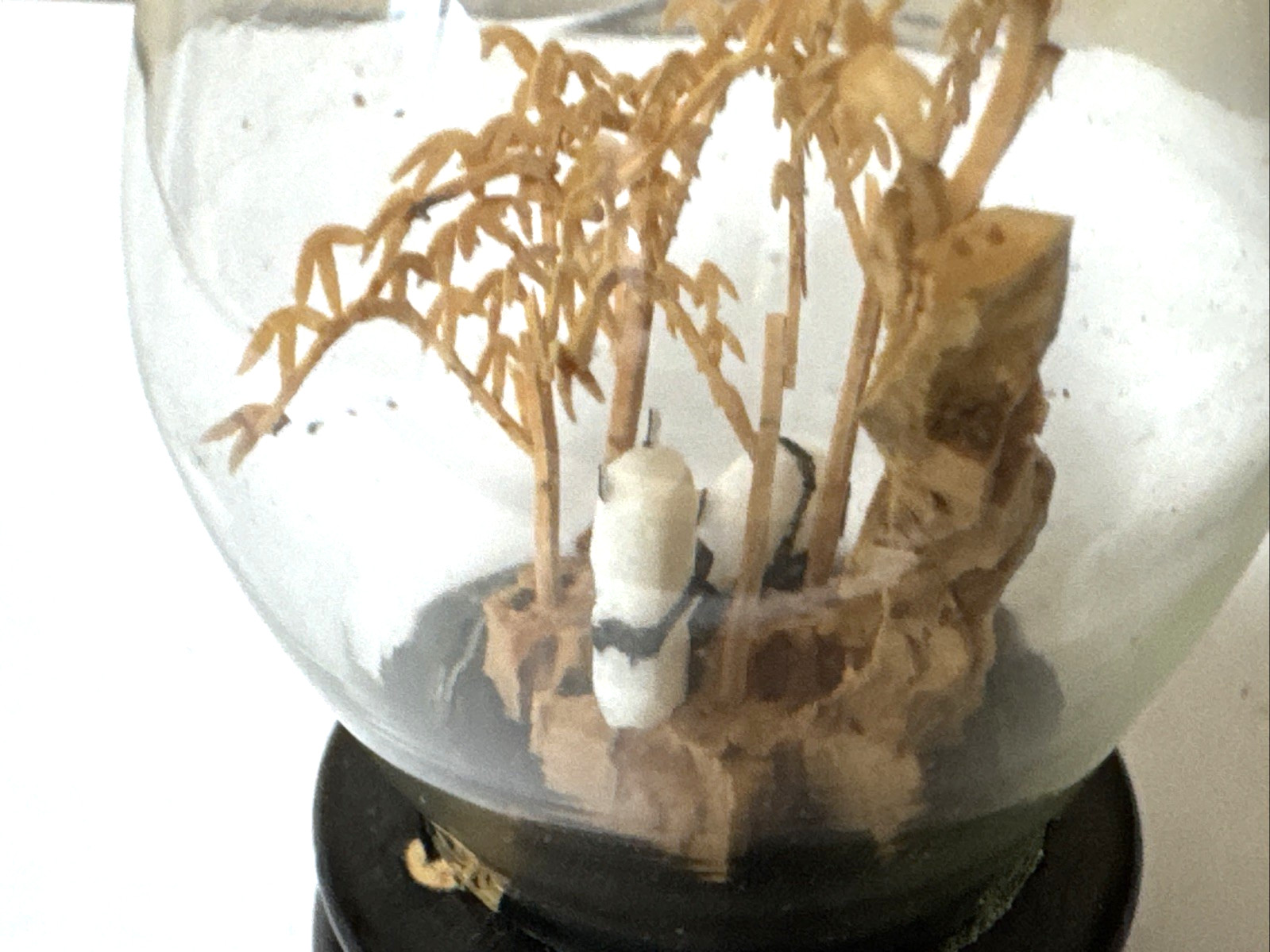 SAN YOU Cork Diorama Pair Of Pandas Under Egg Shape Glass Dome on wood base 3”H