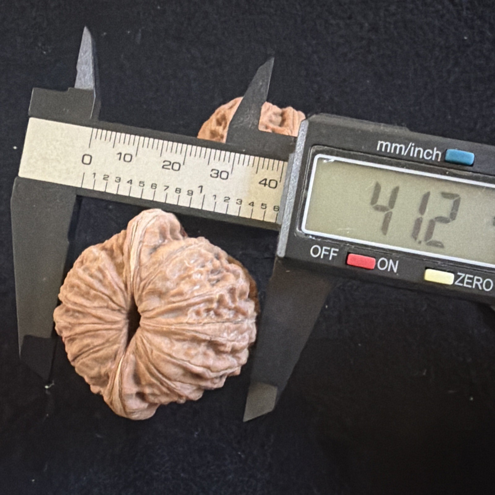文玩核桃 Ornamental Walnut · Chinese Pocket Curio 2026年新开，精配对无修无打底，#192