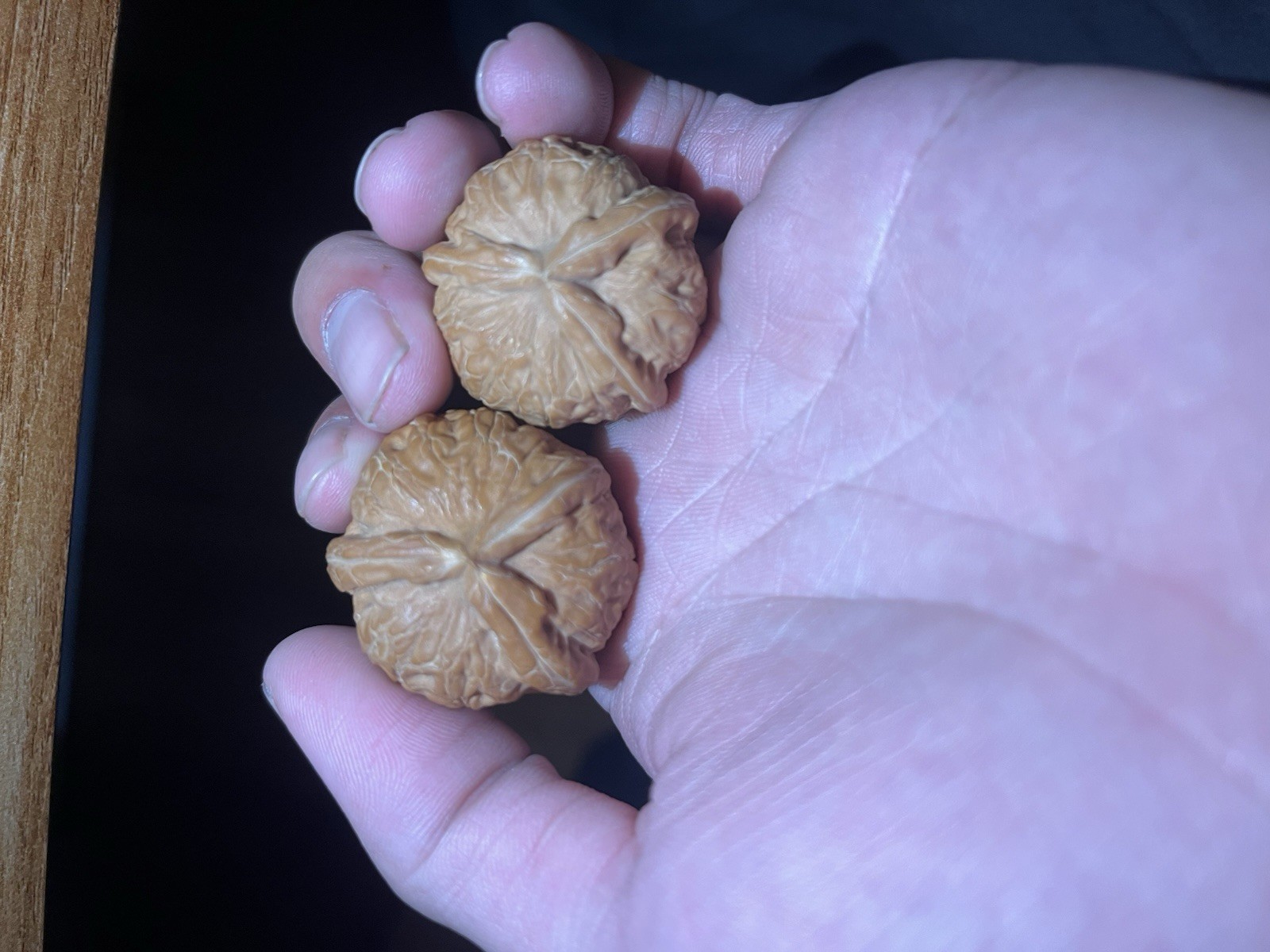 文玩核桃.平谷元包人字 小三棱。白茶一大一下 对子差一点，看好了在下单 36X37X32。34X33X29