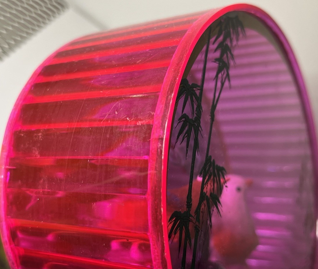 Pink Plastic Oval Case Diorama Birds Tree Mirrored Made in Hong Kong